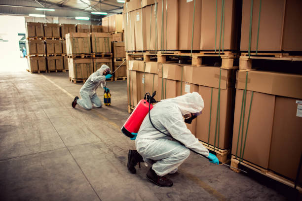Best Pest Control for Businesses  in Stayton, OR
