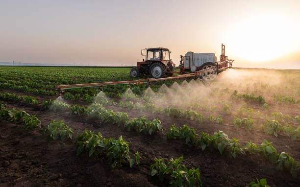 Best Mosquito Control Services  in Stayton, OR