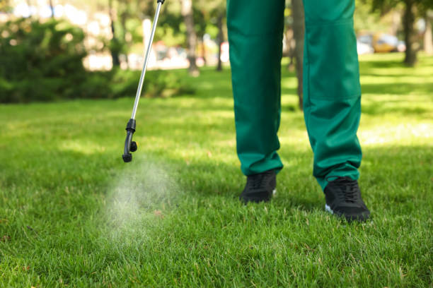 Best Insect Control  in Stayton, OR