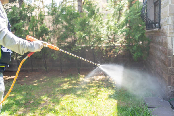 Reliable Stayton, OR Pest Control Solutions
