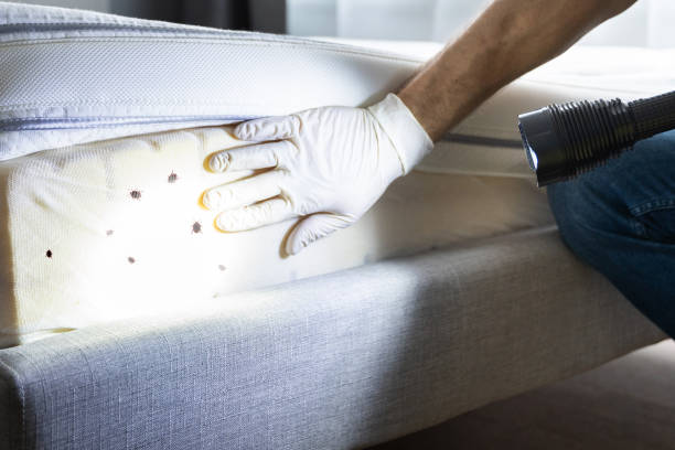 Pest Prevention Services in Stayton, OR