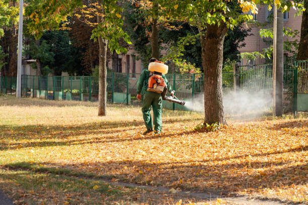 Best Wildlife Control Services  in Stayton, OR