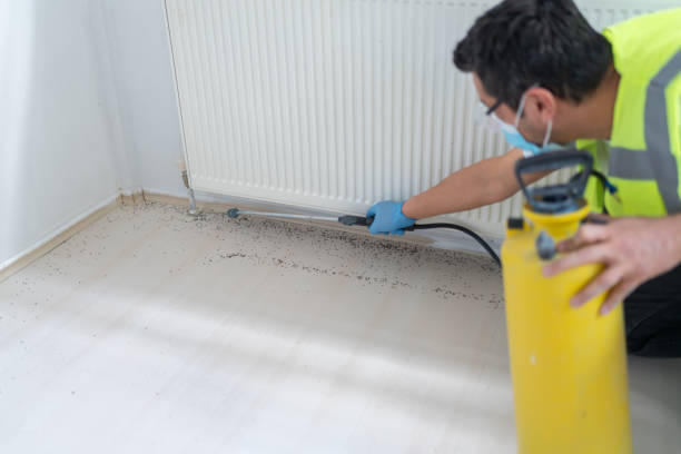 Best Affordable Pest Control Services  in Stayton, OR
