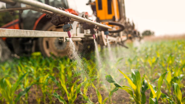 Best Pest Prevention Services  in Stayton, OR